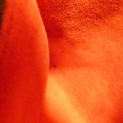 Túi xách vai Damier Maré N42240 - Hàng hiệu Authentic 612843