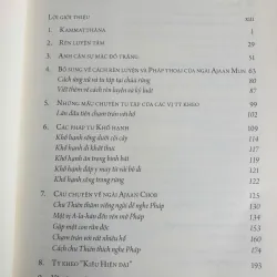 Con Đường Tu Tập Của Ngài Acariya Mun 687576