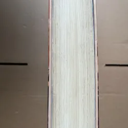 đứa con gái hoan đàng 1030413