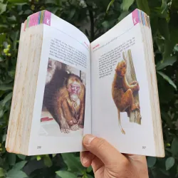 Từ Điển Tranh Về Các Con Vật - Lê Quang Long 753786