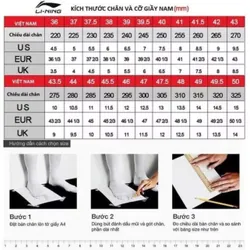Giày Cầu Lông/Pickleball Nam Thể Thao Li-Ning Almighty V 603219