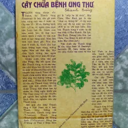 Đông Y trị ung thư - Gs Trần Văn Kỳ 1006283