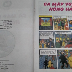 Tintin cá mập vùng hồng hải  502877