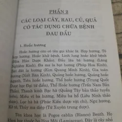Món ăn bài thuốc- Chữa bệnh Đau Đầu. Tác giả Minh Việt 716503