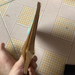 Cánh hoa màu đỏ 603709