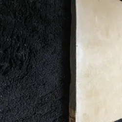 Hậu quả đường lối văn nghệ Mạo Trạch Đông 1005303