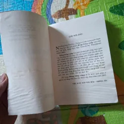 Bông Hồng Vàng 976118