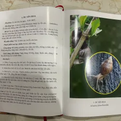 Động vật, khoáng vật làm thuốc và những bài thuốc thường dùng 561264