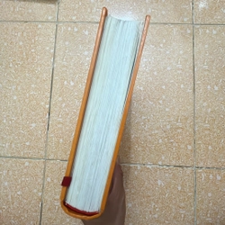 Không gia đình - Hector Malot 447319