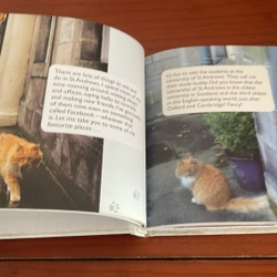 PICTURE BOOK Hamish McHamish of ST Andrews 536757