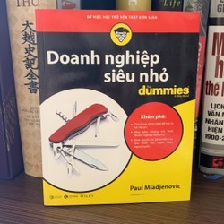 Doanh Nghiệp Siêu Nhỏ For Dummies