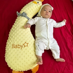 Gấu ôm cho Bé 446665