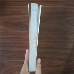 Thập đại mỹ nhân - Triệu phi yến 507991