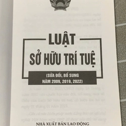 LUẬT SỞ HỮU TRÍ TUỆ - 545914