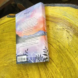 I CAN MAKE THIS PROMISE- CHRISTINE DAY 711947