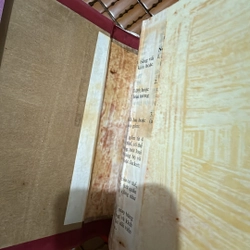 Trần Diễn tuyển tập 462187