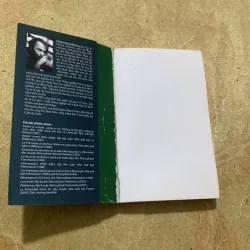 COMBO HẠT CƠ BẢN & NGÀN MẶT TRỜI RỰC RỠ 753087