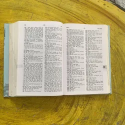 TỪ ĐIỂN VIỆT- ANH Vietnamese-English Dictionary  1022760