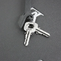 Túi du lịch Louis Vuitton LV Branson Alma Duffle M24397 614955