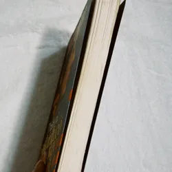 Thiếu nữ đánh cờ vây 701861