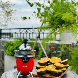 Máy vắt cam UNIE UECJ-666R – Nước trái cây tươi mỗi ngày 744825
