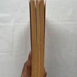 Wild Irish Women - Marian Broderick  786340