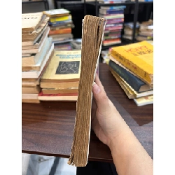 Hoa Tulip Đen - A. Duyma 936723