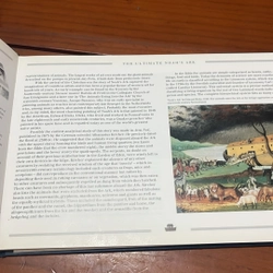 PICTURE BOOK The ultimate noah’s ark 536438