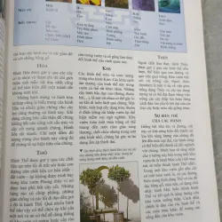 PHONG THỦY NGHỆ THUẬT BÀI TRÍ NHÀ CỬA THEO KHOA HỌC PHƯƠNG ĐÔNG - VŨ TÀI HOA 791852