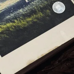 Nữ phi công 995148