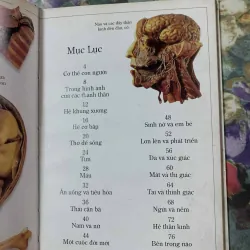 Cơ Thể Con Người, Bìa Cứng 564875