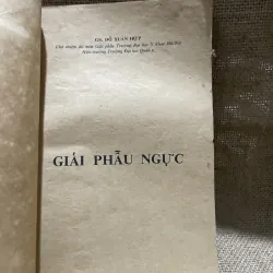 Giải phẫu ngực bác sĩ Đỗ Xuân hợp   799782