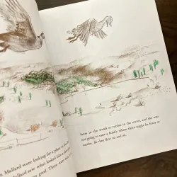 ✨𝑴𝒂𝒌𝒆 𝑾𝒂𝒚 𝒇𝒐𝒓 𝑫𝒖𝒄𝒌𝒍𝒊𝒏𝒈𝒔✨ 778573