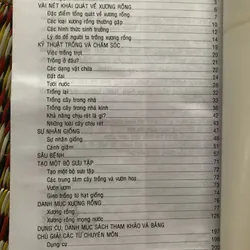 Kỹ thuật trồng xương rồng 693640