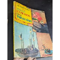 Tự học cắm hoa bằng hình ảnh - Quốc Linh 561248