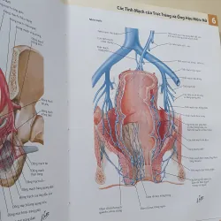ATLAS 7 GIẢI PHẪU  1008119