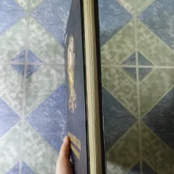 Tượng thờ Hindu giáo từ đền tháp chăm đến chùa miếu Việt - Nguyễn Hữu Thông 748830