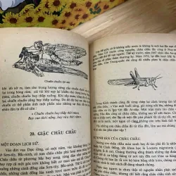 Những Kỳ Lạ Trong Thế Giới Sinh Vật 926223