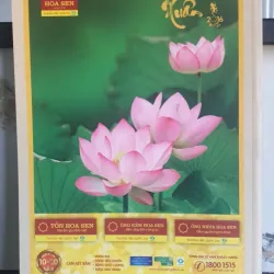 Suối Nguồn - tập 19 759701