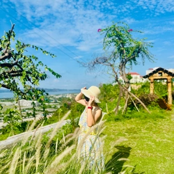 Maxi dài đi biển 474533