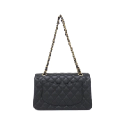 Túi đeo vai Chanel 1113 - Hàng hiệu Chính hãng 802219