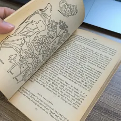 Herbs for All Seasons - Rosemary Hemphill (Penguin Handbook 70s) 791521