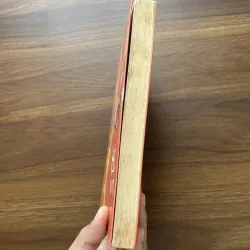 Bỉ vỏ - Nguyên Hồng 995131