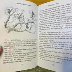 [Sách tiếng Anh 2hand] Like new 90% - A Boggle at Bewilderwood – Tom Blofeld 958415