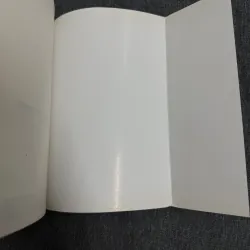 Những cuộc phiêu lưu sáng chói của Flora và Ulysses - Kate DiCamillo 761035