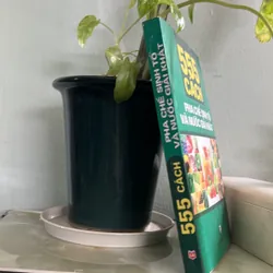 555 cách pha chế sinh tố và nước giải khát 736312