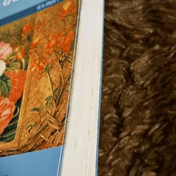 Nhím thanh lịch (bản in cũ) 698338