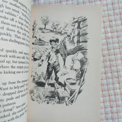 THE CABIN FACED WEST – Jean Fritz 975106