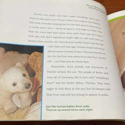 PICTURE BOOK Knut How one little polar bear captivated the world 536433