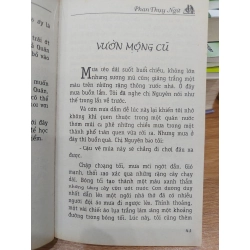 Những vạt nắng vỡ 549371